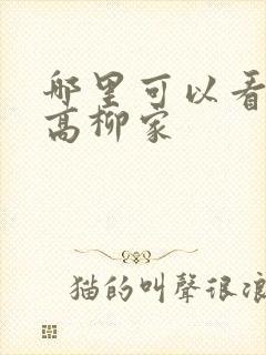 哪里可以看肉嫁高柳家