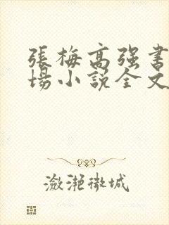 张梅高强书记官场小说全文免费阅读下