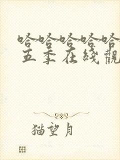 哈哈哈哈哈 第五季在线观看