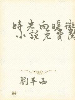 时光向暖微微甜 小说免费阅读全本