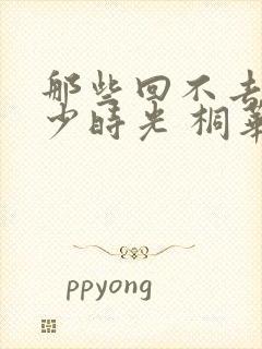 那些回不去的年少时光 桐华封面