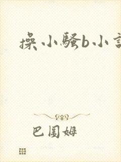 操小骚b小说