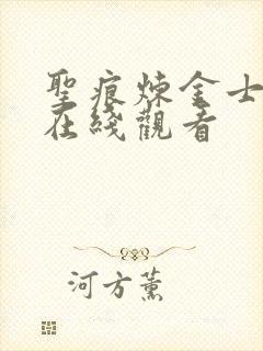 圣痕炼金士动漫在线观看封面