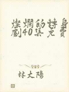 灿烂的转身电视剧40集免费观看高清封面