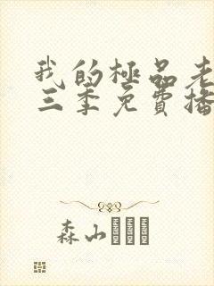 我的极品老婆第三季免费播放电视剧