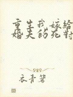 重生我嫁给了未婚夫的死对头封面