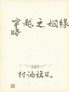 穿越之姻缘劫攻略封面