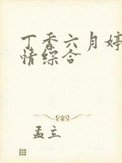 丁香六月婷婷激情综合