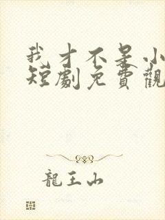 我才不是小可怜短剧免费观看全集封面