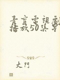 青盲电视剧免费播放50集星辰影视