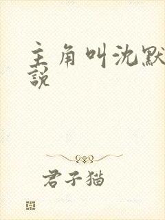 主角叫沈默的小说