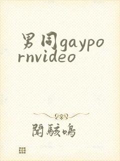 男同gaypornvideo