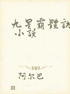 九星霸体诀龙尘 小说