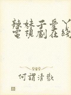 辣妹子爱丫爱丫电视剧在线播放