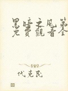 黑暗之风第一季免费观看全集高清