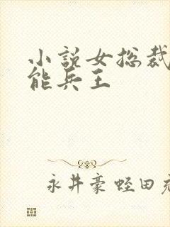 小说女总裁的全能兵王