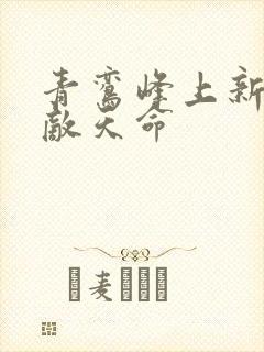 青鸾峰上新书无敌天命封面