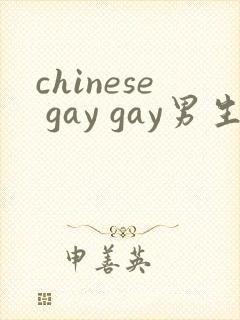 chinese gay gay男生互操网站