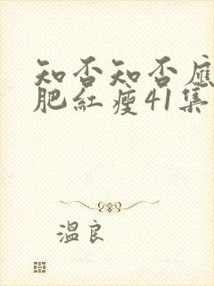 知否知否应是绿肥红瘦41集