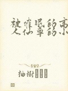 被催眠的高冷美人仙尊的小说