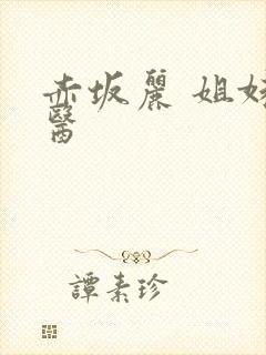 赤坂丽 姐妹牙医