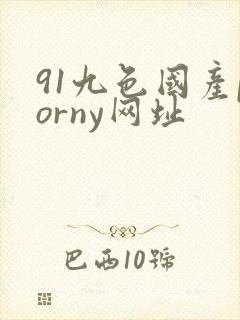 91九色国产porny网址封面