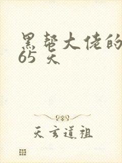 黑帮大佬的 365 天