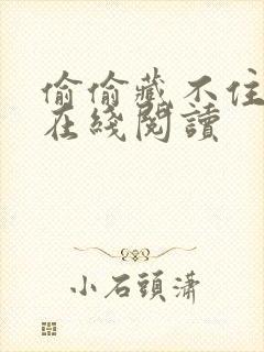 偷偷藏不住免费在线阅读