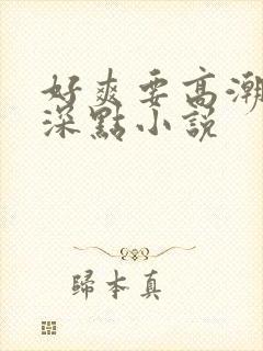 好爽要高潮了再深点小说