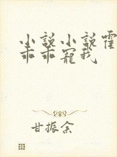 小说小说霍先生乖乖宠我