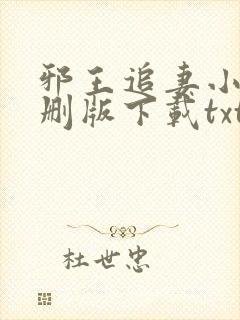 邪王追妻小说未删版下载txt封面