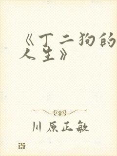 《丁二狗的逍遥人生》