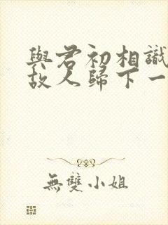 与君初相识犹如故人归下一句封面