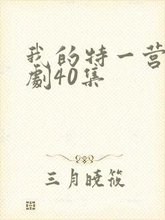我的特一营电视剧40集