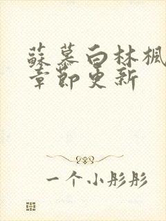 苏慕白林枫最新章节更新