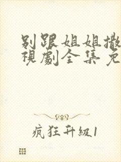 别跟姐姐撒野电视剧全集免费封面