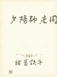 夕阳帅老同性恋封面