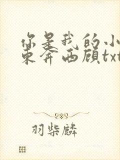 你是我的小确幸东奔西顾txt