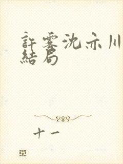 许雾沈亦川番外结局