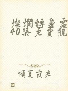 灿烂转身电视剧40集免费观看高清