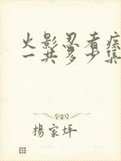 火影忍者疾风传一共多少集