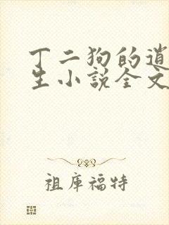 丁二狗的逍遥人生小说全文无删减封面