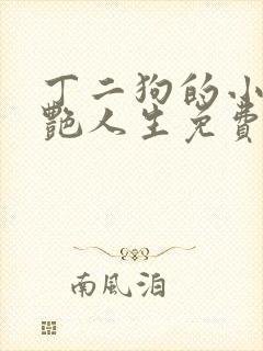 丁二狗的小说猎艳人生免费阅读全文