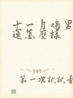 十一月鸡男的命运怎么样