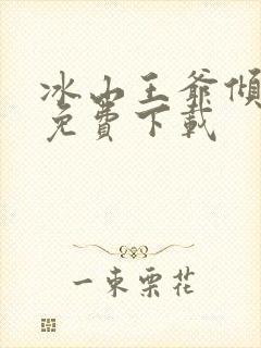 冰山王爷倾城妃免费下载