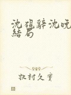 沈砚辞沈晚棠大结局封面