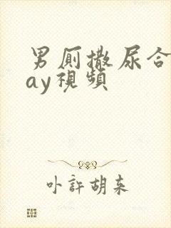 男厕撒尿合集gay视频