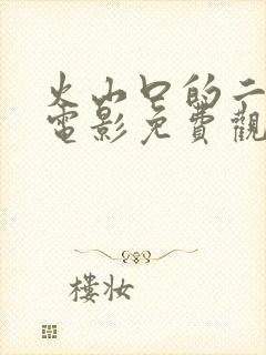 火山口的二个人电影免费观看封面