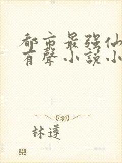 都市最强仙尊 有声小说小说