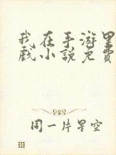 我在手游里做游戏小说免费阅读